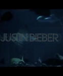 Justin_Bieber_-_Never_Let_You_Go_mp40017.jpg